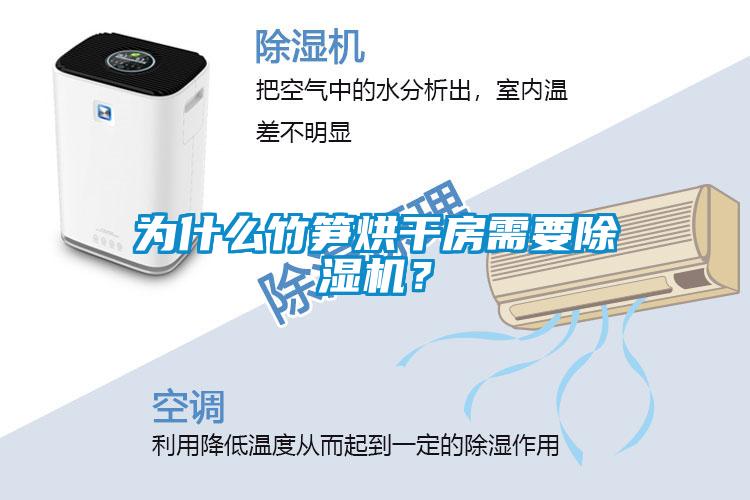 為什么竹筍烘干房需要除濕機？