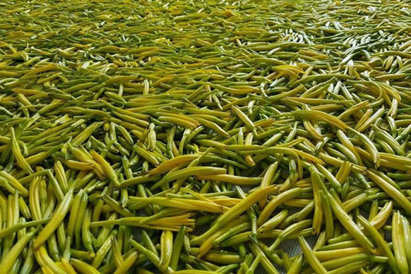 無硫金針菜烘干如何保持品相？不發黑？