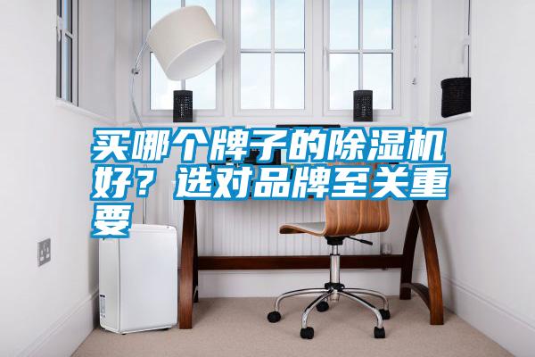 買哪個牌子的除濕機好？選對品牌至關重要