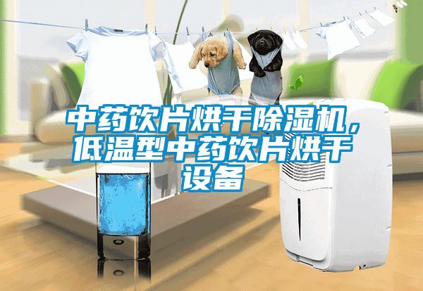 中藥飲片烘干除濕機，低溫型中藥飲片烘干設備