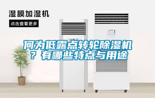 何為低露點轉輪除濕機？有哪些特點與用途