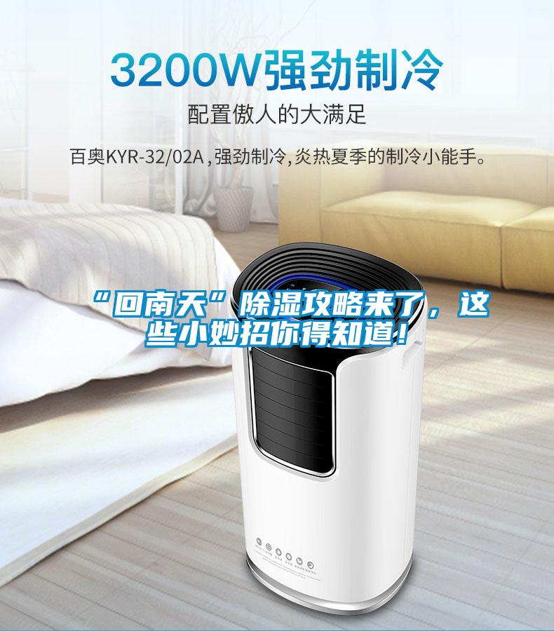 “回南天”除濕攻略來了，這些小妙招你得知道！