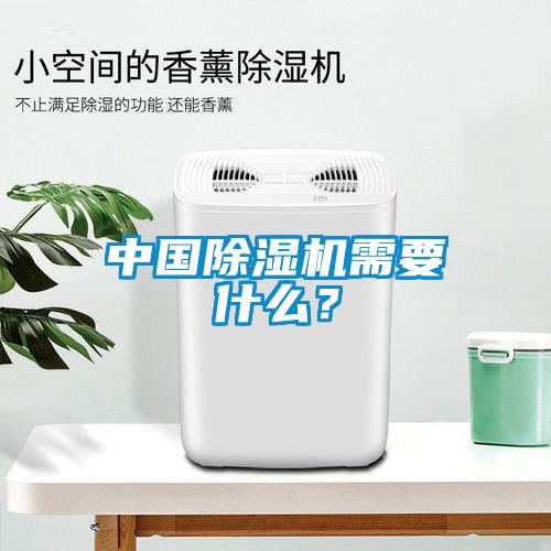 中國除濕機需要什么？