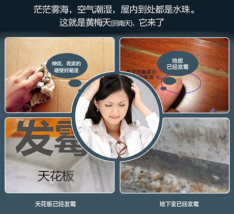 梅雨季，除濕機助你除潮去濕