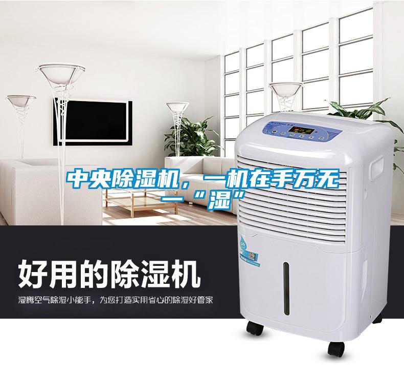 中央除濕機，一機在手萬無一“濕”