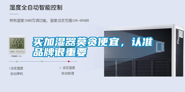 買加濕器莫貪便宜，認準品牌很重要