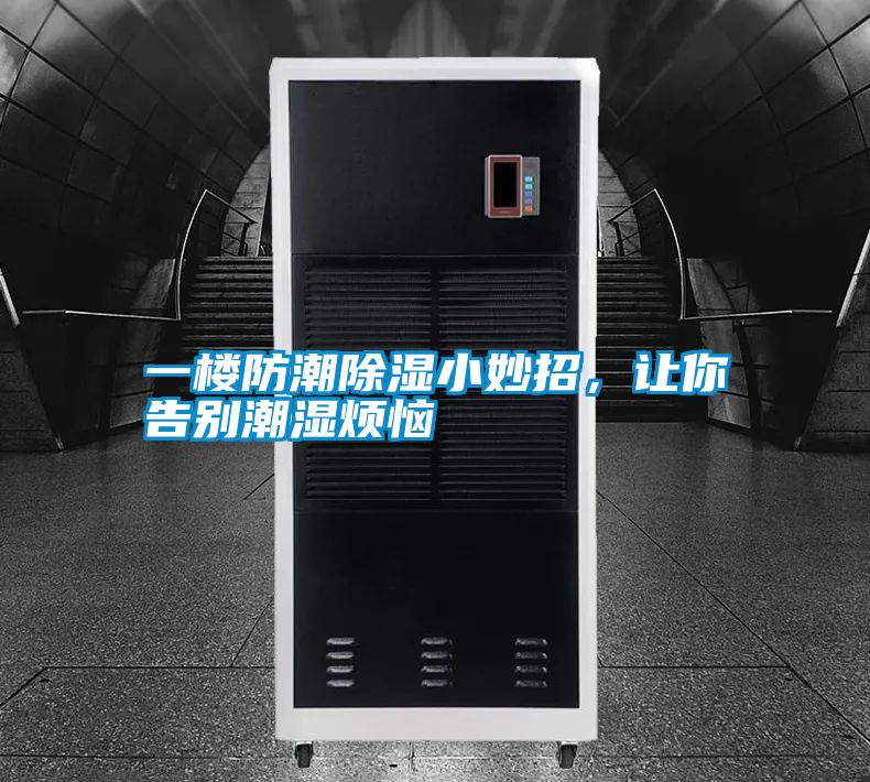 一樓防潮除濕小妙招，讓你告別潮濕煩惱