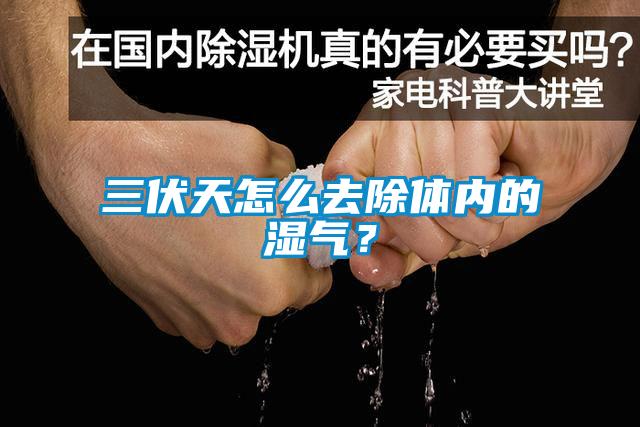 三伏天怎么去除體內的濕氣？
