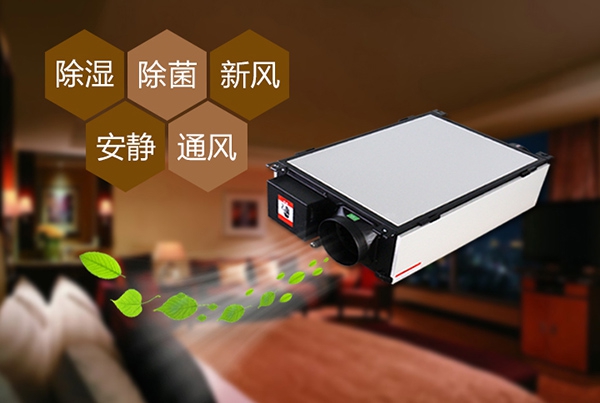 為什么冷庫除濕機會出現結霜的情況？