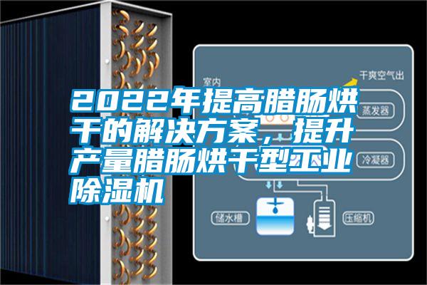 2022年提高臘腸烘干的解決方案，提升產量臘腸烘干型工業除濕機