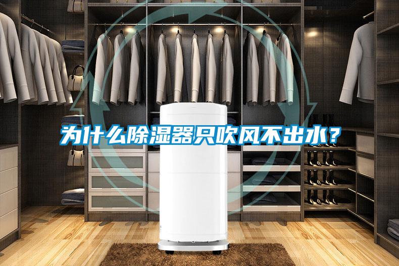 為什么除濕器只吹風不出水？