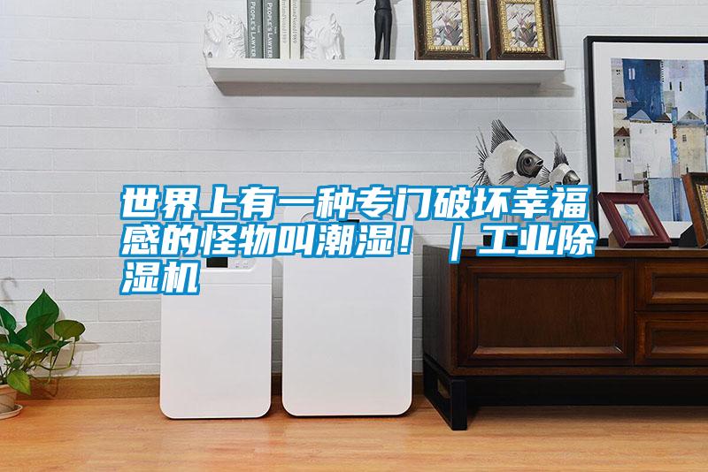 世界上有一種專門破壞幸福感的怪物叫潮濕?。I除濕機