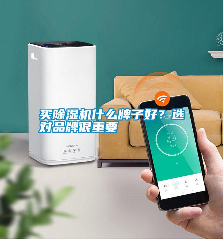買除濕機什么牌子好？選對品牌很重要