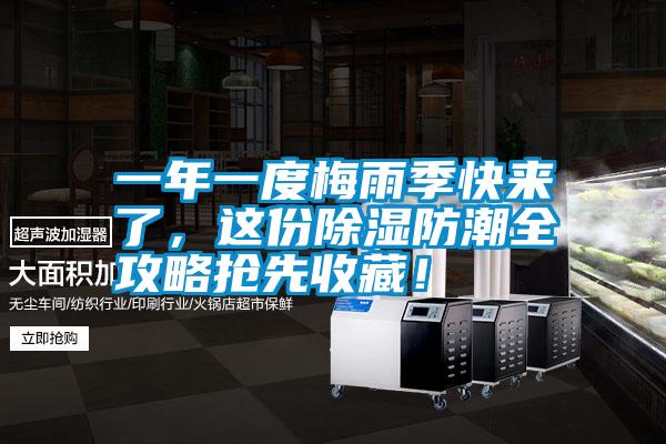 一年一度梅雨季快來了，這份除濕防潮全攻略搶先收藏！