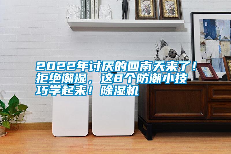 2022年討厭的回南天來了！拒絕潮濕，這8個防潮小技巧學起來！除濕機