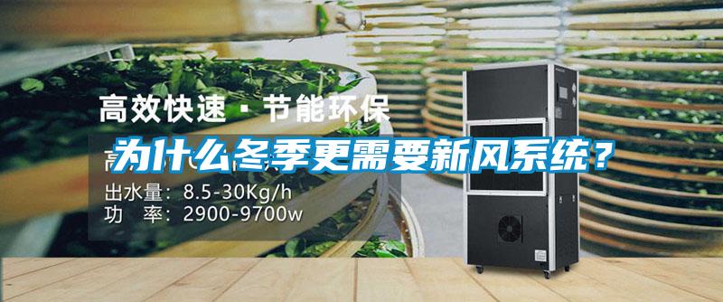 為什么冬季更需要新風系統？