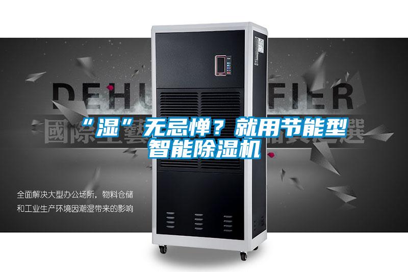 “濕”無忌憚？就用節能型智能除濕機