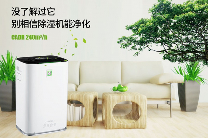 一到回南天狗狗就感冒+皮膚病，怎么辦？