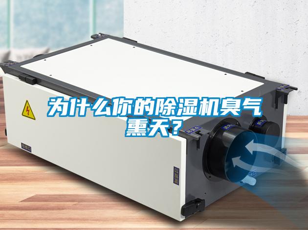 為什么你的除濕機臭氣熏天？
