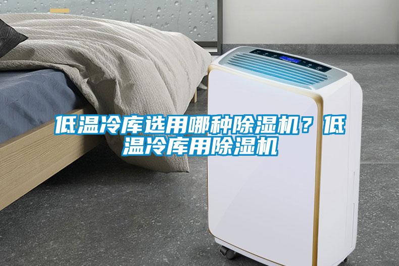 低溫冷庫選用哪種除濕機？低溫冷庫用除濕機