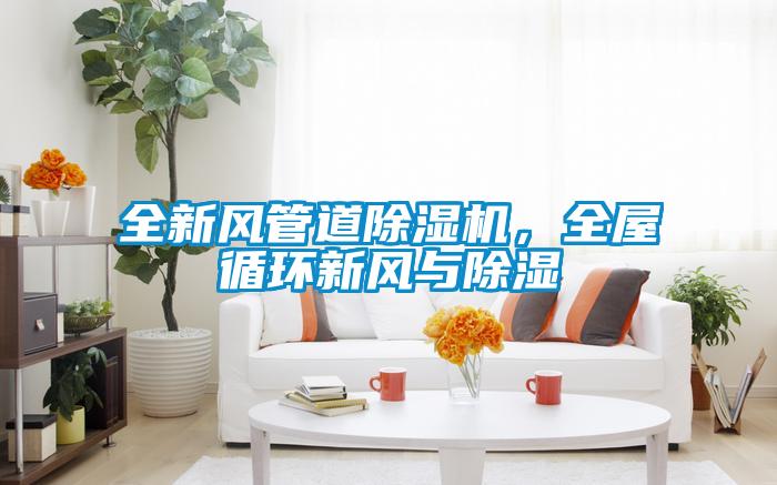 全新風管道除濕機，全屋循環新風與除濕