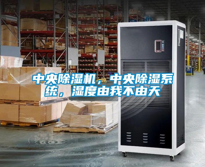 中央除濕機，中央除濕系統，濕度由我不由天