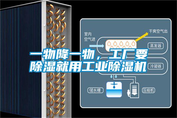 一物降一物，工廠要除濕就用工業除濕機