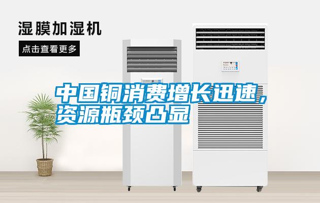 中國銅消費增長迅速，資源瓶頸凸顯