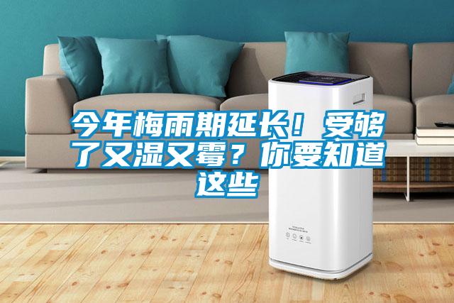 今年梅雨期延長！受夠了又濕又霉？你要知道這些