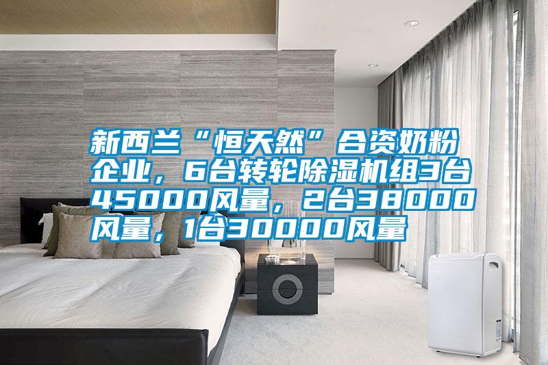 新西蘭“恒天然”合資奶粉企業，6臺轉輪除濕機組3臺45000風量，2臺38000風量，1臺30000風量