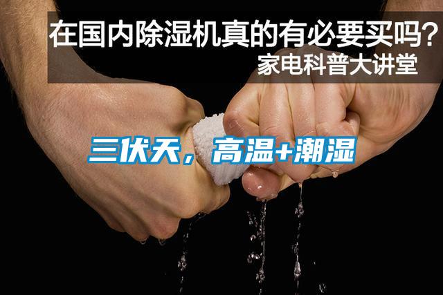 三伏天，高溫+潮濕
