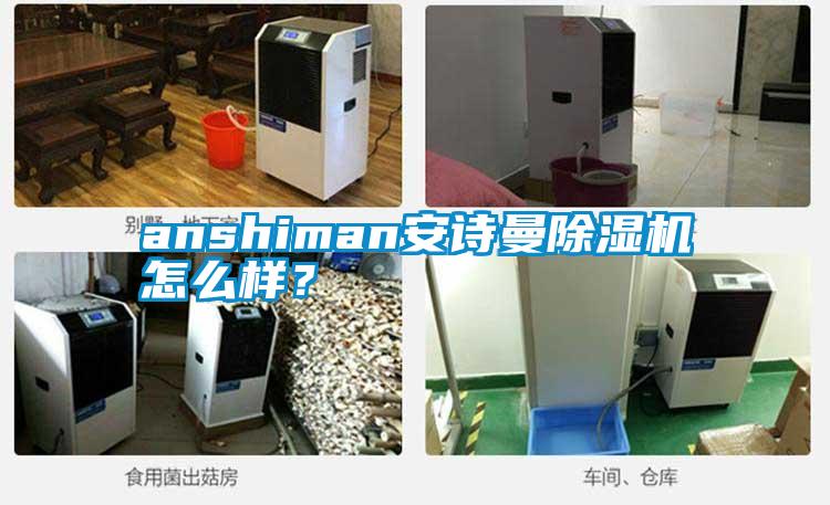 anshiman安詩曼除濕機怎么樣？