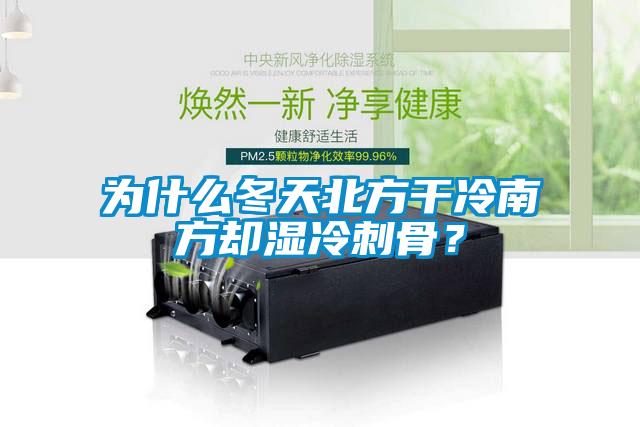 為什么冬天北方干冷南方卻濕冷刺骨？