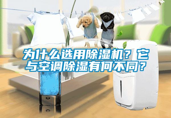 為什么選用除濕機？它與空調除濕有何不同？