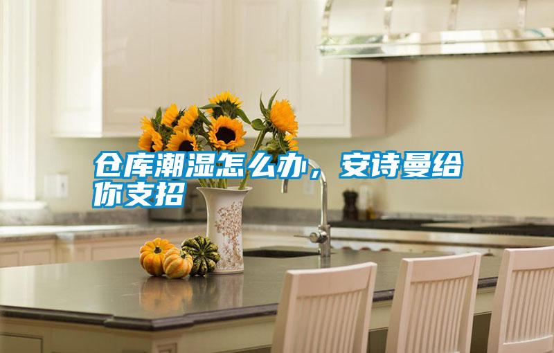 倉庫潮濕怎么辦，安詩曼給你支招