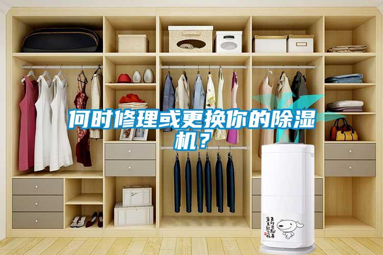 何時修理或更換你的除濕機？