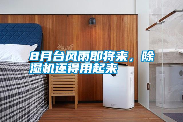 8月臺風雨即將來，除濕機還得用起來