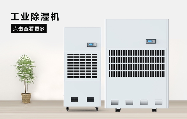 三八節送媽媽的禮物，選這款安詩曼除濕器就對了