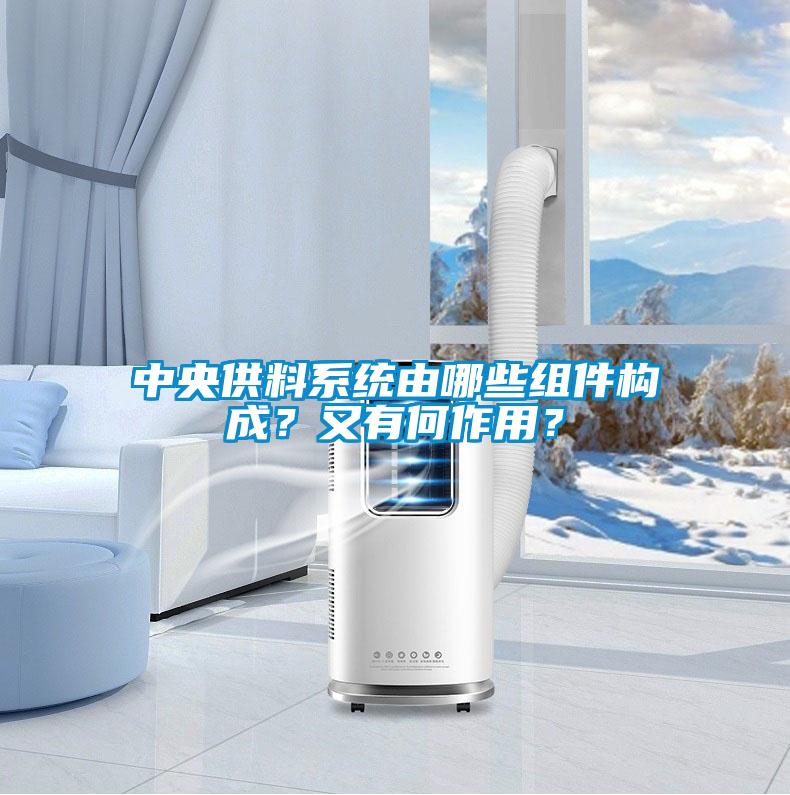 中央供料系統由哪些組件構成？又有何作用？