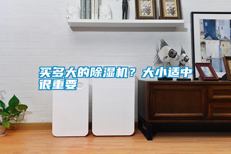 買多大的除濕機？大小適中很重要