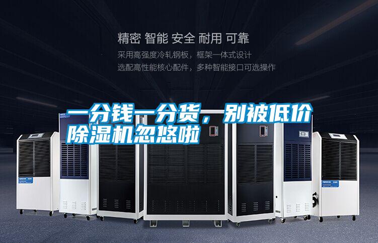 一分錢一分貨，別被低價除濕機忽悠啦