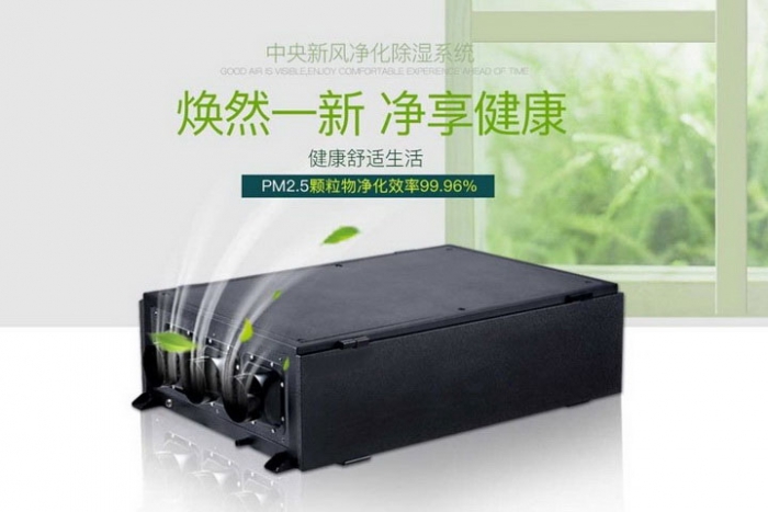 一年一度梅雨季快來了，這份除濕防潮全攻略搶先收藏！