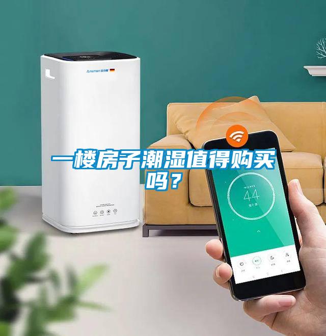 一樓房子潮濕值得購買嗎？