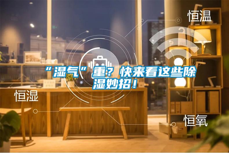 “濕氣”重？快來看這些除濕妙招！
