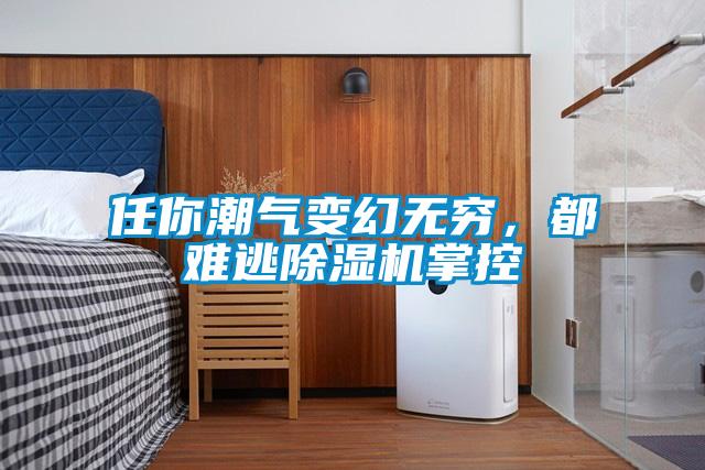 任你潮氣變幻無窮，都難逃除濕機掌控