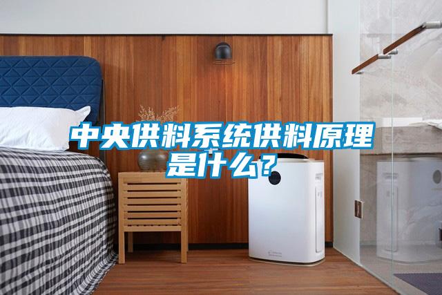中央供料系統供料原理是什么？