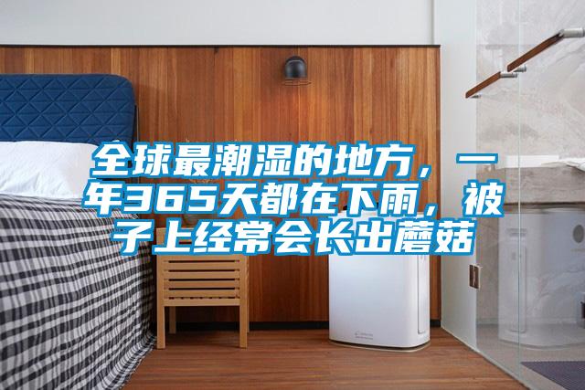 全球最潮濕的地方，一年365天都在下雨，被子上經常會長出蘑菇