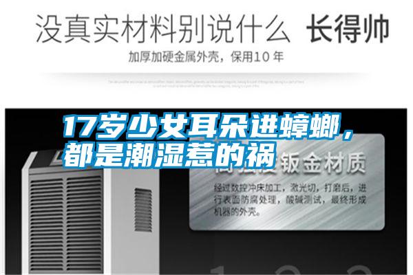 17歲少女耳朵進蟑螂，都是潮濕惹的禍