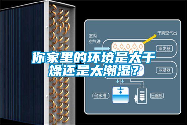 你家里的環境是太干燥還是太潮濕？