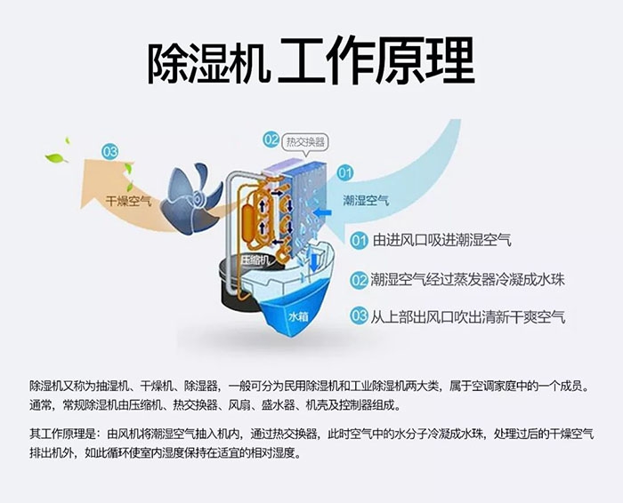 南方梅雨季到了房屋墻壁滲水、返潮怎么辦？